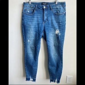 Judy Blue Skinny Fit Jeans